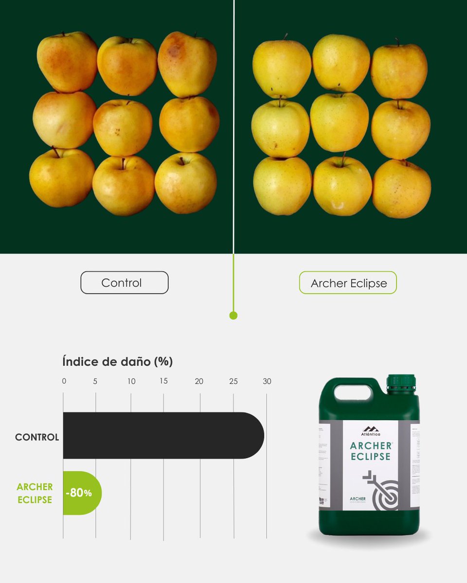 🌞 Archer Eclipse reduce hasta un 80 % el daño por quemadura solar en manzano. Triple protección sin manchas, sin bloquear la fotosíntesis. Ideal para frutales y hortícolas. 

atlanticaagricola.com/productos/arch…

 #AtlánticaAgrícola #ArcherEclipse