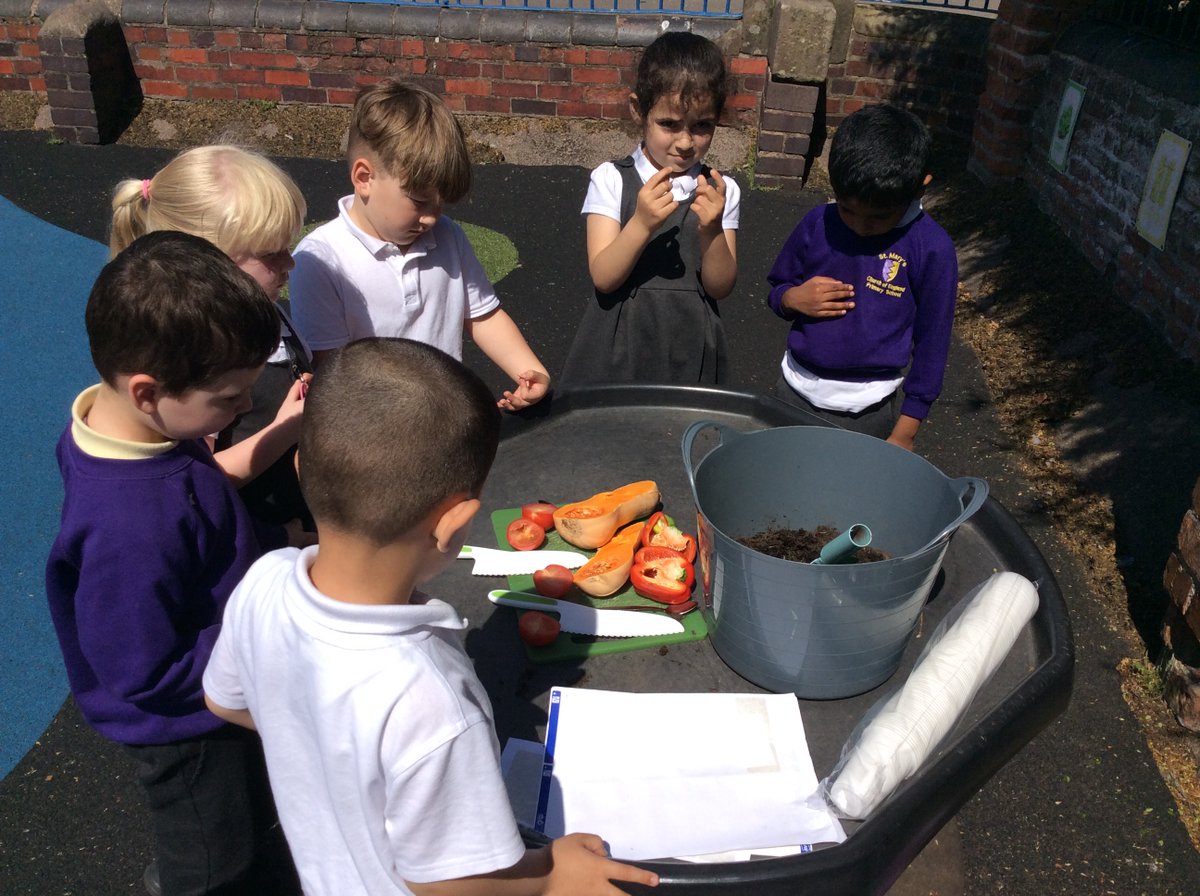 Kahlo class have been exploring and planting  seeds from different fruit.
