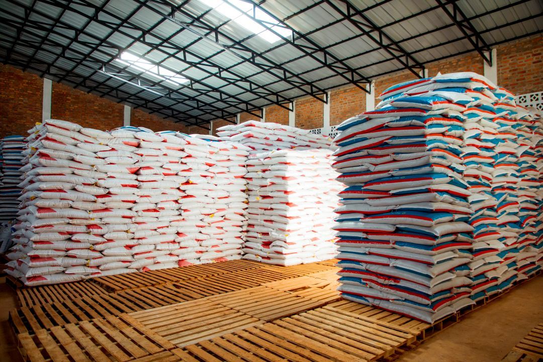 Kivuchoice's tweet photo. Fueling healthy growth from the start! Our storage is stocked with high-quality, nutrient-rich feed. A key ingredient in raising strong, healthy tilapia. We don’t compromise on nutrition because we know: better feed = better fish. #KivuChoice #FreshRwandanTilapia #QualityFeed https://t.co/VVfPdi7kdD
