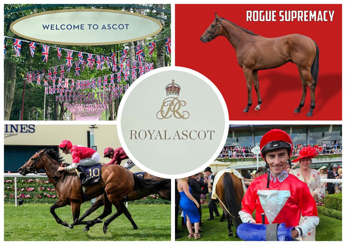 Rogues Gallery Racing (@roguesracing_) on Twitter photo Both <a href="/Roguesracing_/">Rogues Gallery Racing</a> and <a href="/omeararacing/">David O'Meara</a> know how to win at Royal Ascot, and we’re aiming Rogue Supremacy at this year’s meeting 👑
A stunning colt by St Mark’s Basilica. With only a few shares left!
£1,000 + £20/month gets you a for a share for life.
👉 roguesgalleryracing.com Both <a href="/Roguesracing_/">Rogues Gallery Racing</a> and <a href="/omeararacing/">David O'Meara</a> know how to win at Royal Ascot, and we’re aiming Rogue Supremacy at this year’s meeting 👑
A stunning colt by St Mark’s Basilica. With only a few shares left!
£1,000 + £20/month gets you a for a share for life.
👉 roguesgalleryracing.com