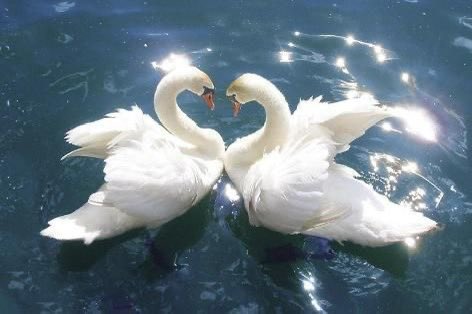 gal౨ৎ (@prtygal777) on Twitter photo 