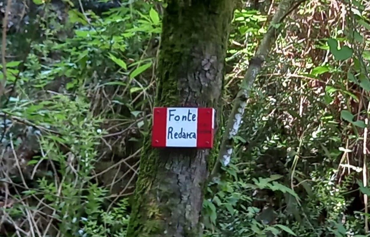 PMontemarcello's tweet image. La zona di #Redarca è  un'area carsica di notevole interesse storico-archeologico e naturalistico, situata tra la Serra di #Lerici e la Rocchetta sul promontorio del #Caprione.
#parcomontemarcellomagravara #1giugno #biodiversità #sostenibilità #beactiveliguria