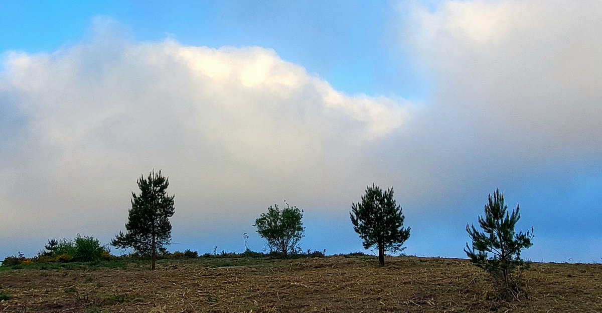 This Morning at Vicar water country park Nottinghamshire ☁️☁️ bit. Dull should brighten up

<a href="/StormchaserUKEU/">WEATHER/ METEO WORLD</a>  @PhotographyWx <a href="/bbcweather/">BBC Weather</a> <a href="/BBCWthrWatchers/">BBC Weather Watchers</a> <a href="/itvweather/">ITV Weather</a> <a href="/metoffice/">Met Office</a> <a href="/ChrisPage90/">Chris Page - Weatherman</a> <a href="/WeatherAisling/">Aisling Creevey</a> #loveukweather✅ <a href="/liamdutton/">Liam Dutton</a> <a href="/GavinPartridge/">GavsWeatherVids</a> <a href="/bbcemt/">BBC East Midlands</a>  <a href="/BBCNottingham/">BBC Nottingham</a>