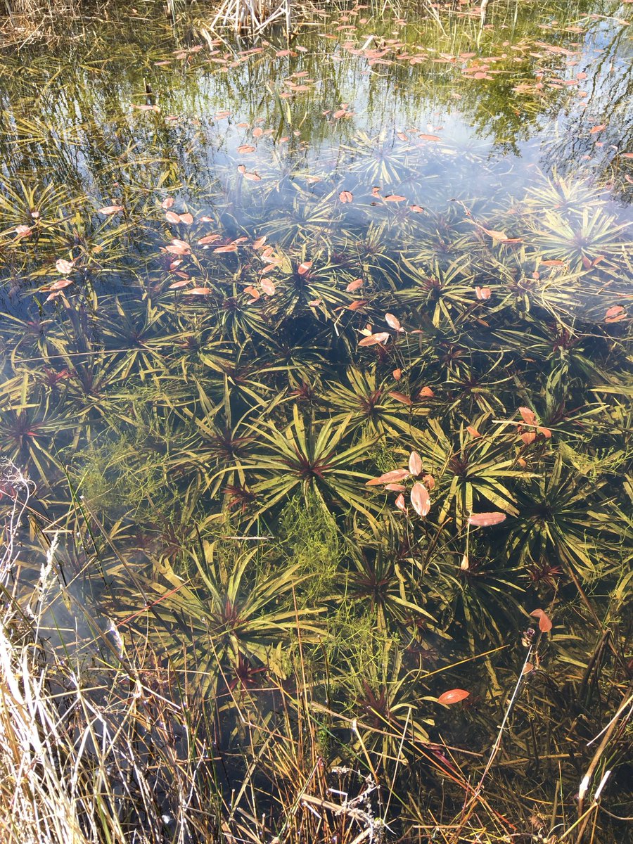 Stewart J Clarke tweet media