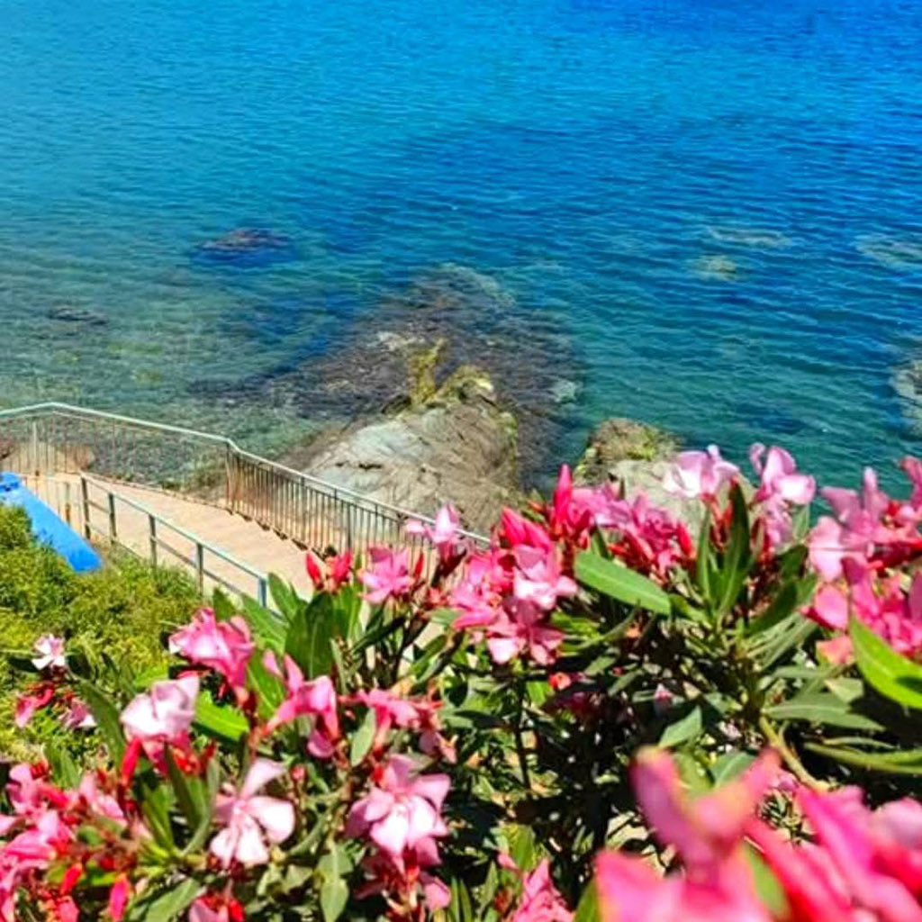 Yazid_Dz_16's tweet photo. Très bonne journée à tous les amis 🇩🇿💚
#Tamanart #Collo #Algeria #Eldjazair https://t.co/6lHAv5mNqA