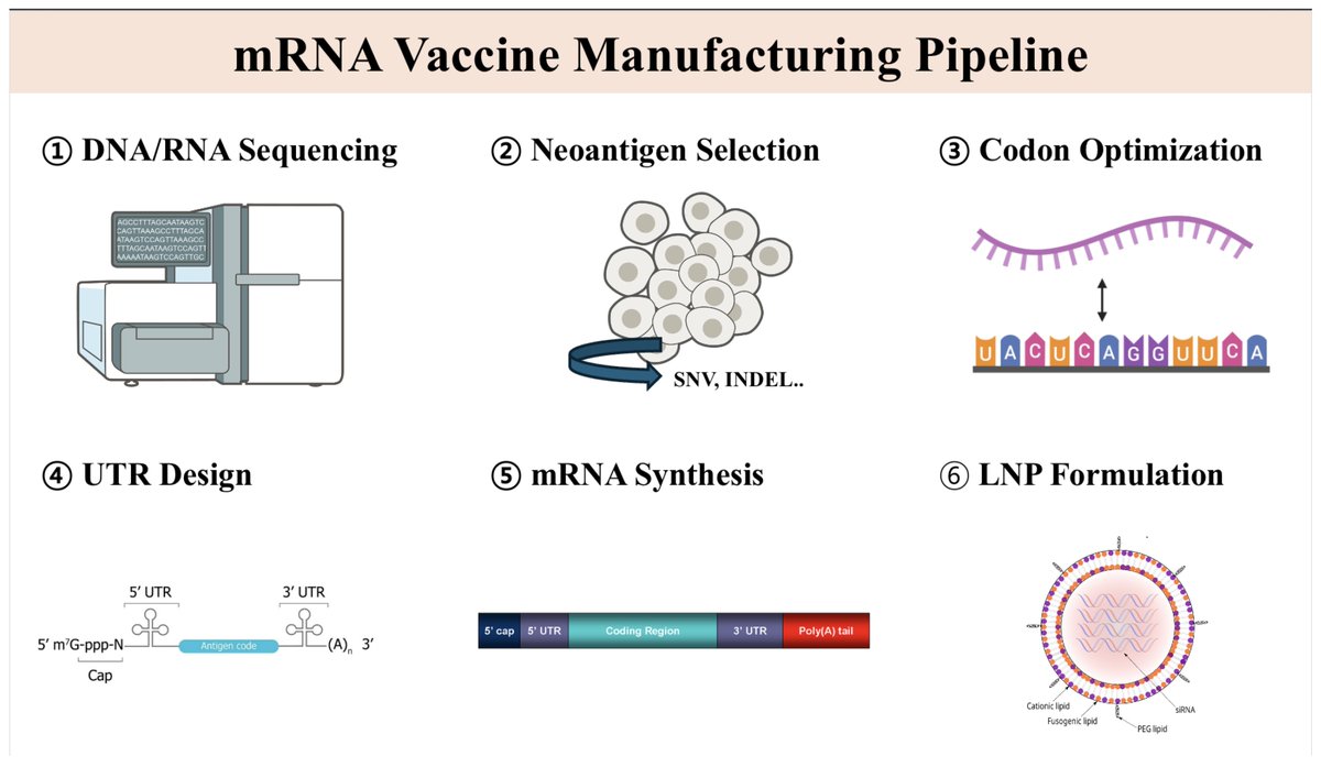 📢#HighlyViewed Paper
🔬Title: Advances in Personalized Cancer Vaccine Development: AI Applications from Neoantigen Discovery to mRNA Formulation
✍ Author: Dr. Hyunseung Kong
🔗paper link: brnw.ch/21wSDEN