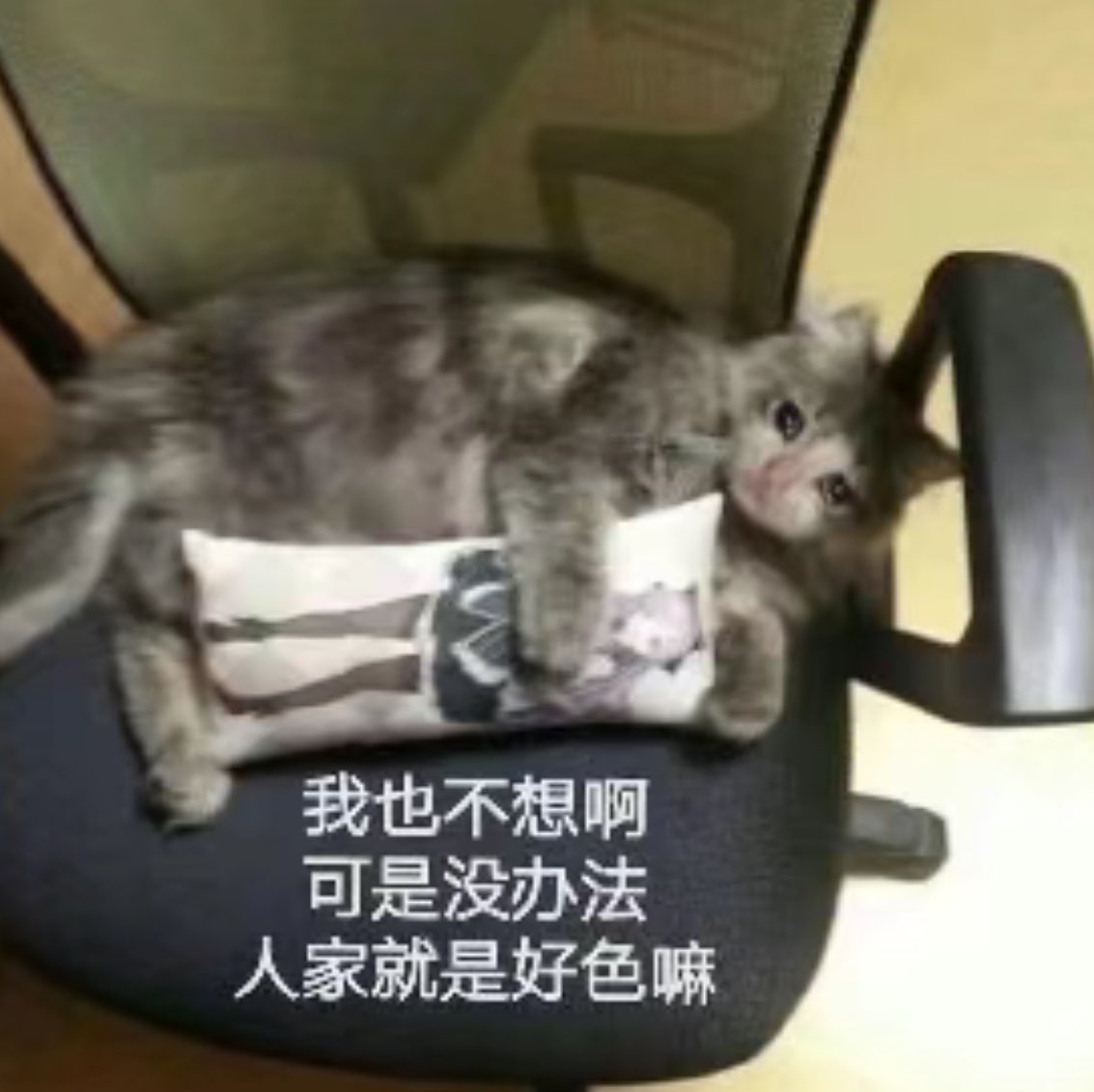 老公今晚要不要那个 https://t.co/IH6ftXy1gT