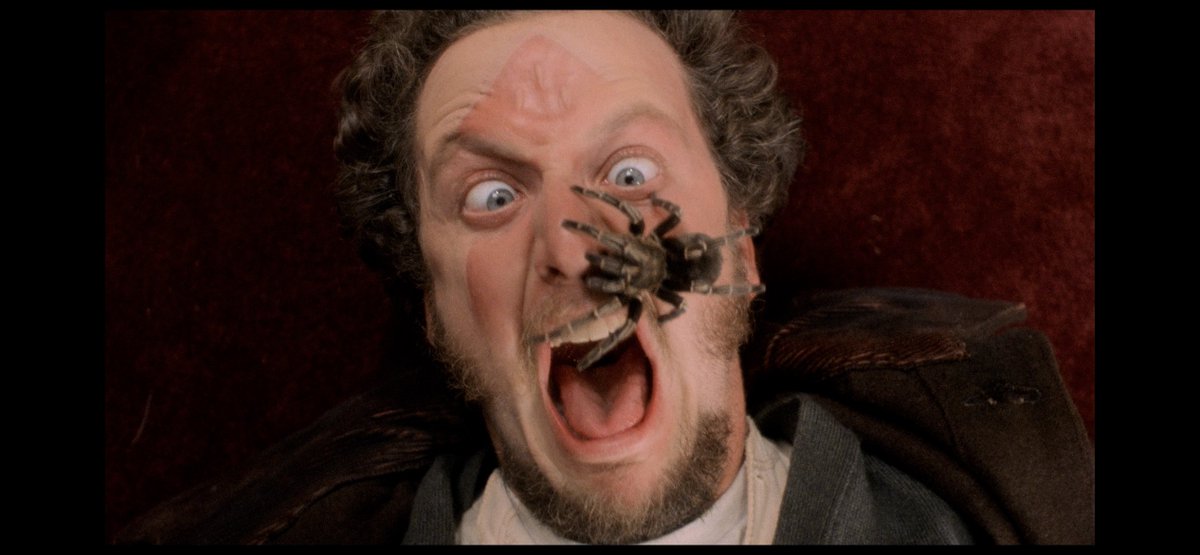 I❤️Nostalgia '𝕏' tweet media