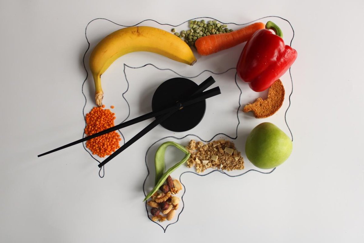 🕘 La hora en que comemos influye en cómo nuestro cuerpo procesa los alimentos.

🍽 Por eso, se dice que las comidas más importantes deben realizarse durante la mañana y el mediodía, y que hay que cenar temprano y ligero.

🔗 Descubre cuándo y cómo cenar: bit.ly/456U28I