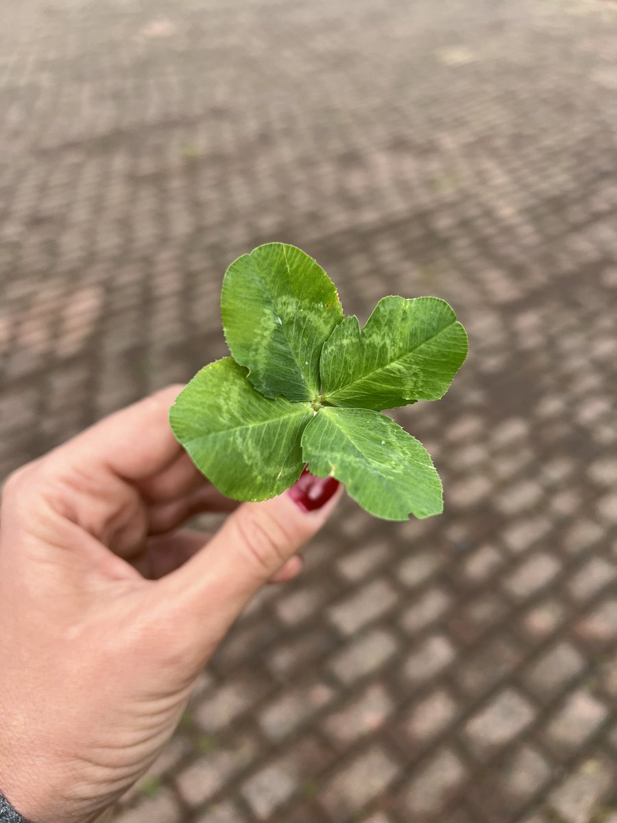 Убав ден дечки 💚