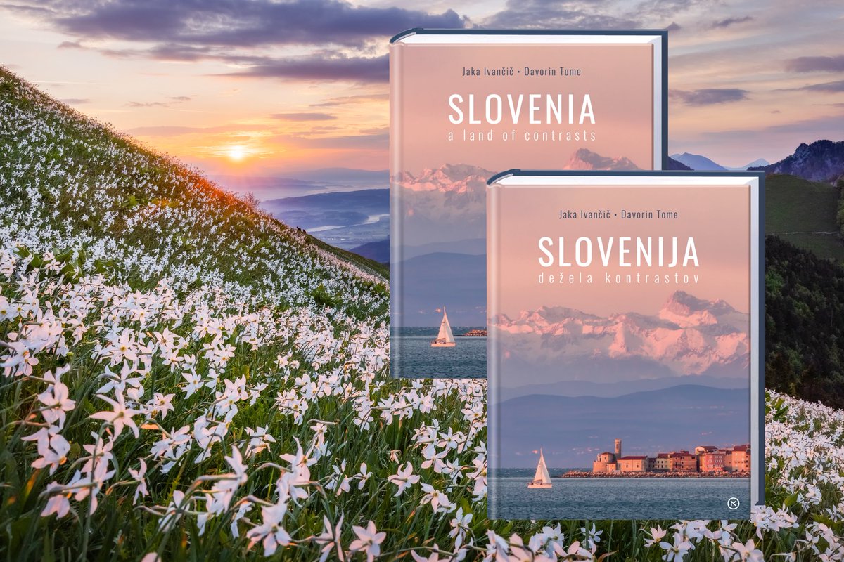 Mala Golica in May – a white carpet of wild daffodils dancing in the wind 🌼⛰️ One of the most magical sights in the Slovenian Alps!
If you love moments like this, you’ll find more in my photo book Slovenia: Land of Contrasts – available at <a href="/Mladinska_MK/">Mladinska knjiga 📖</a> 📖✨#slovenia #golica