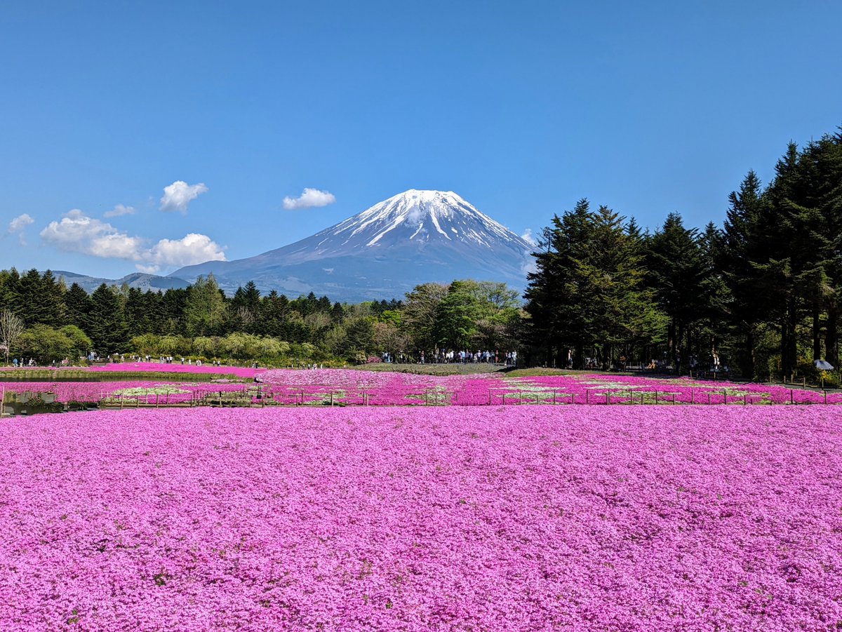 農協観光 Nツアー株式会社農協観光 -農協観光はJAグループの一員です。