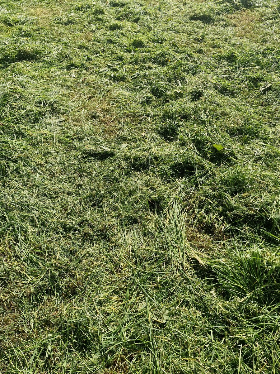 Joys of having a dry farm 🙂 , been cautious and not pulling every paddock out for surplus bales. 

As its looking like we will get very little rain so i can see a drop in growth coming , decided to pre mowe this paddock instead. Kind of a catch22 situation 🙂

#WestCork🐄🇮🇪