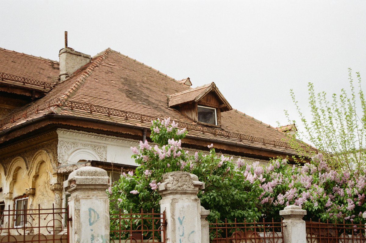 across romania at easter 🪻