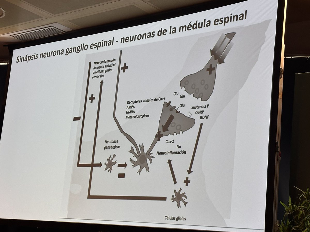 mariaj_morenom's tweet image. #SER2025 El Dr @DrRiveraRedondo nos habla de tto en FM @SEReumatologia @SMurcianaReuma 🧵 ATENTOS!!!
-Antidepresivos