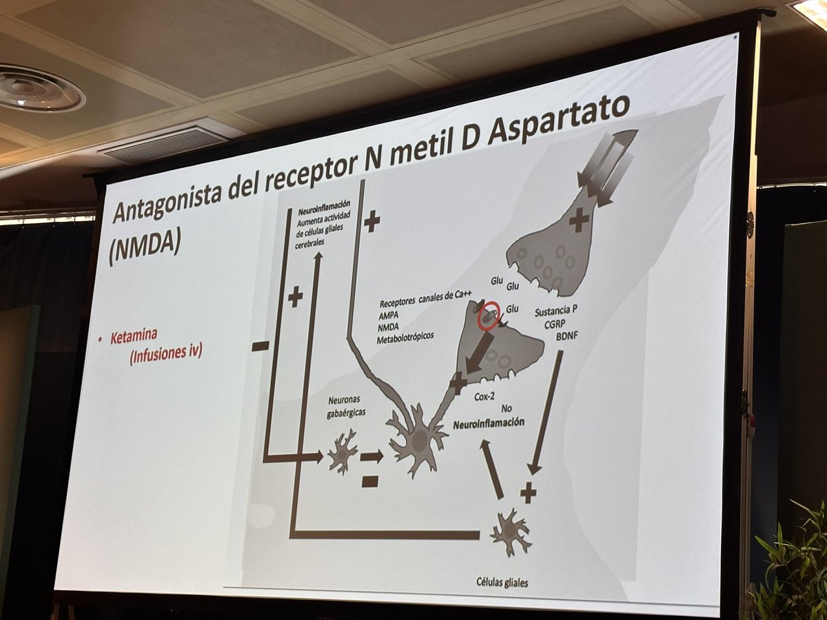 Ojo con esta primera dispo!!‼️
- GABSOENTINOIDES 
-KETAMINA
-nos  deja un artículo de revisión