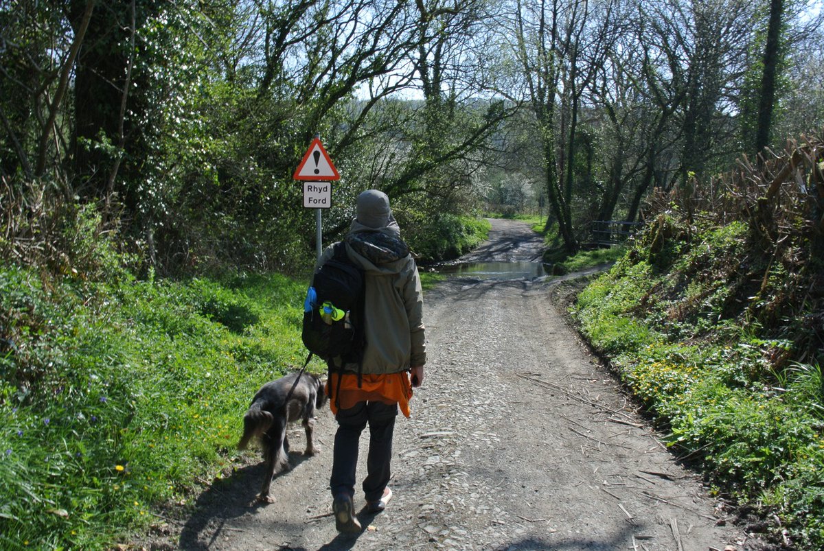 South West Wales Connected (@swwconnected) on Twitter photo 📣 Join Assistant <a href="/CommunityRail/">Community Rail Network</a> Officer Phil for a FREE train journey from #Fishguard & Goodwick to #Whitland, where we will enjoy a scenic 5km #CircularWalk to #WhitlandAbbey.
More information is available here 📲 fb.me/e/3bYcrAsXP #CommunityRail 📣 Join Assistant <a href="/CommunityRail/">Community Rail Network</a> Officer Phil for a FREE train journey from #Fishguard & Goodwick to #Whitland, where we will enjoy a scenic 5km #CircularWalk to #WhitlandAbbey.
More information is available here 📲 fb.me/e/3bYcrAsXP #CommunityRail