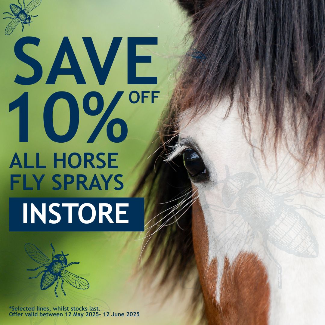 We're excited to offer 10% off on all Equine Fly Sprays in-store! 
Hurry in and grab yours today at your local Carr’s Billington Country Store.
#HorseCare #EquineEssentials #FlyFreeHorses #HorseLovers #EquineDiscount #ShopLocal #HorseLife #StableSolutions #EquineWellness