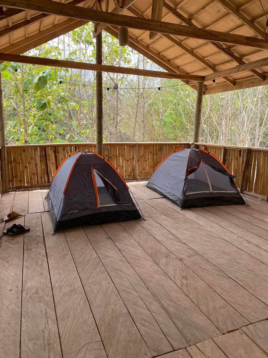 Visit Volta tweet media