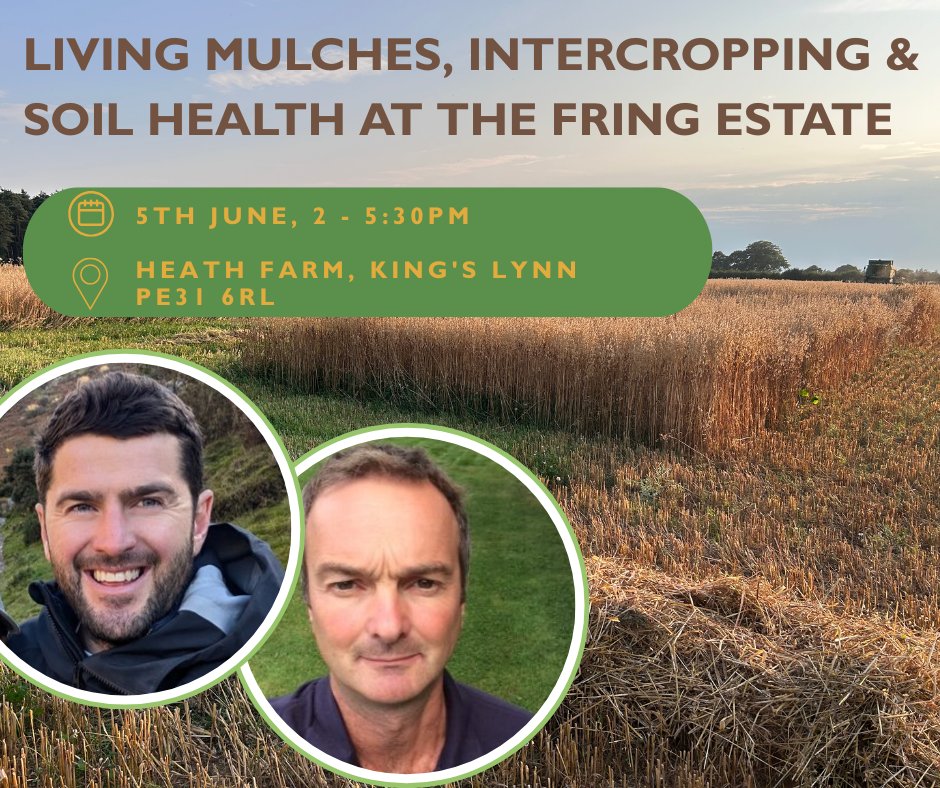 Join Agricology and <a href="/OPER8_EU/">OPER8</a> for a practical afternoon exploring living mulches, intercropping, and soil health at the Fring Estate🧑‍🌾. There will be expert insights from <a href="/Matt3ngland/">Matt England</a> and Ian Robertson (<a href="/ssmsoilhealth/">Sustainable Soil Management</a>), and a social BBQ to finish 🍺 .

tinyurl.com/4fsy6nmu