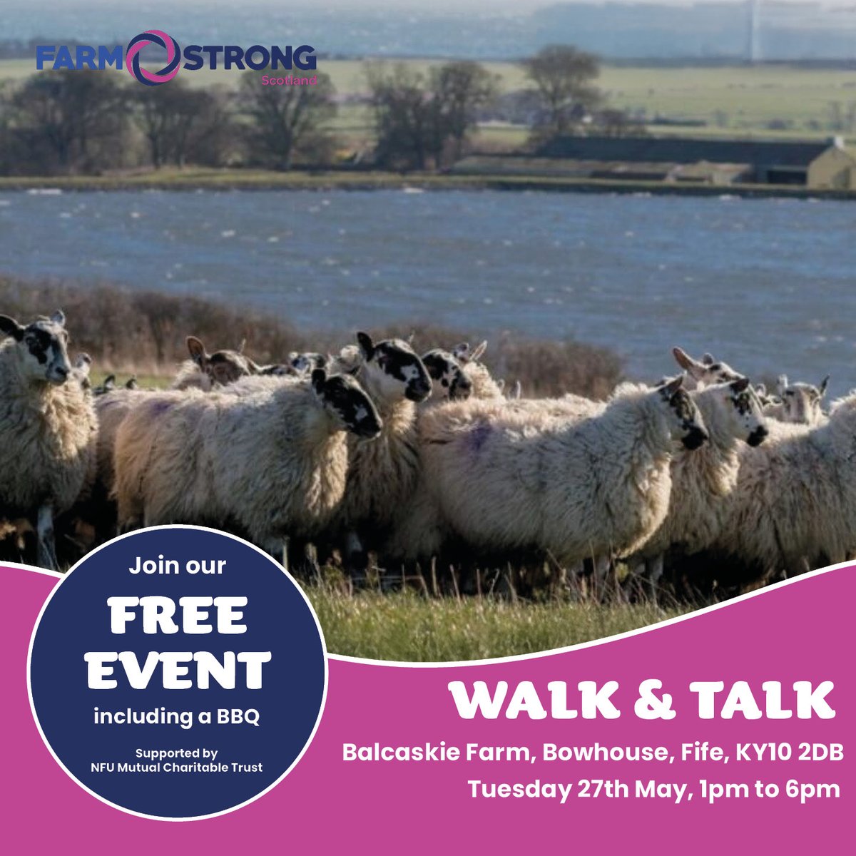 🐑 Join us our next Walk &amp; Talk!
📍 Balcaskie Farm, Bowhouse, St Monans, Fife
📅 Tues 27 May | 1–6pm

🔎Explore 2000ha of sustainable, community-driven farming from sea to uplands 🌾

A good blether and a bite to eat awaits!

🔗 Don't miss out! Book now👇🏼farmstrongscotland.org.uk/events/w-t-bal…