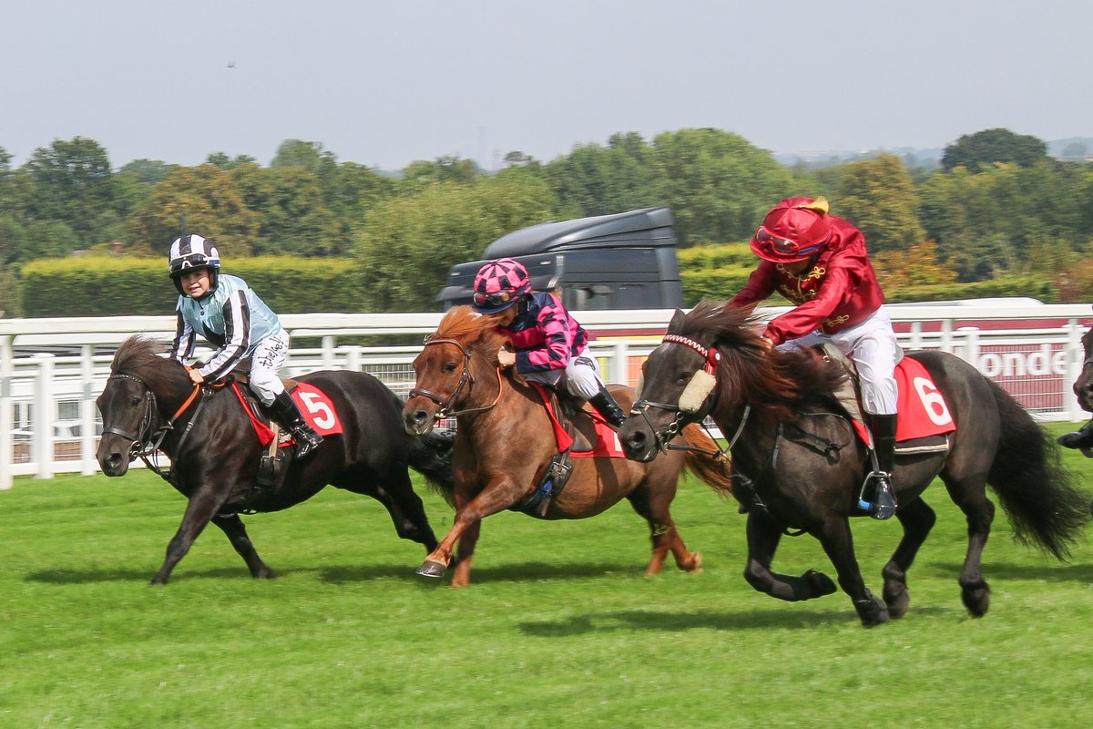 🐎 A fun warm-up before the main action!

As a special addition to the evening's racing, we’ll be hosting the Shetland Pony Grand National ahead of the main card at our PricedUp RSA Syndicate Meet on 20th May.

Come early to enjoy this fun feature.

🎟bit.ly/HUN200525