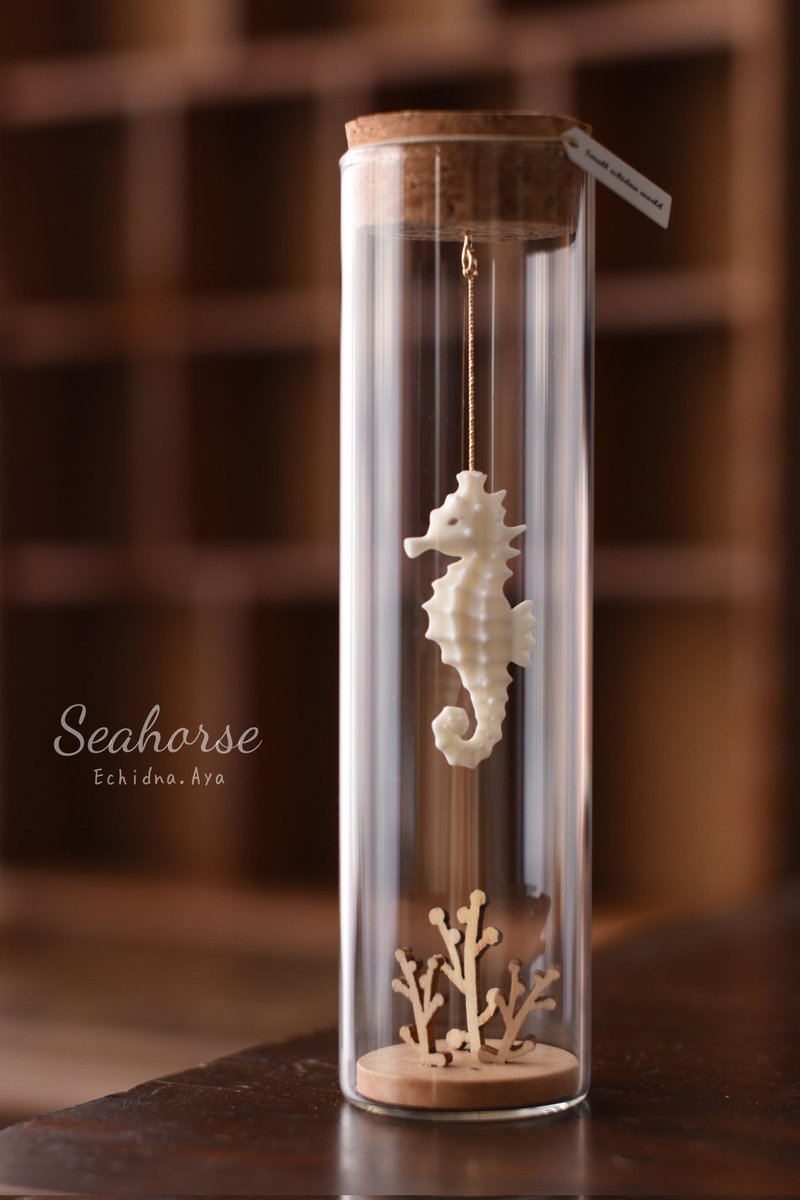 小瓶シリーズの新作「タツノオトシゴ」
原型が完成しました✨
今回は高さ15㎝の瓶を使います🫧