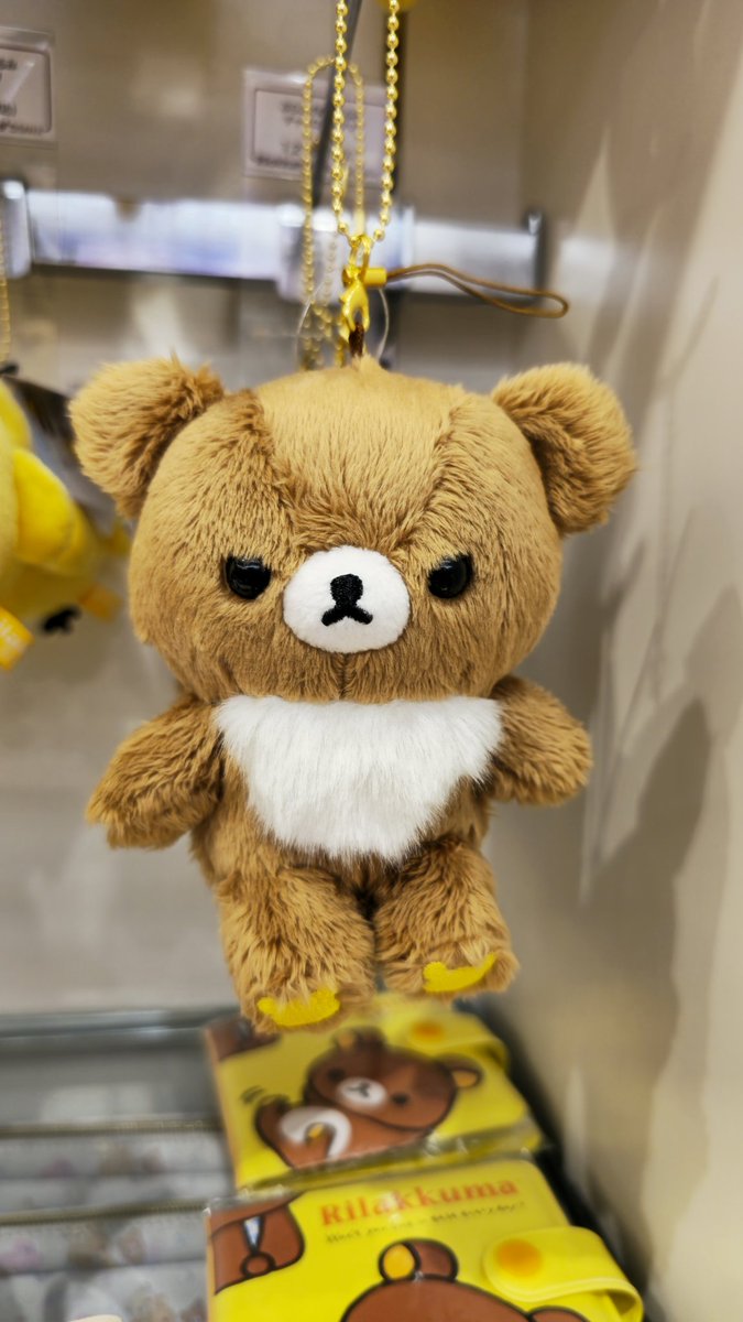 新宿店にかなり美形のぶらさげこぐまちゃんが居たんですよ(*´ω｀*)

形の良い輪郭にまん丸お目々👀✨

そして３体ぶら下がっていたうちの３体目のこぐまちゃんが...

自分も前に出たくて不機嫌だったのかな？🤣💦

めっちゃおこ💢笑

何となく胸毛も荒々しい??

#こぐまちゃん
#チャイロイコグマ