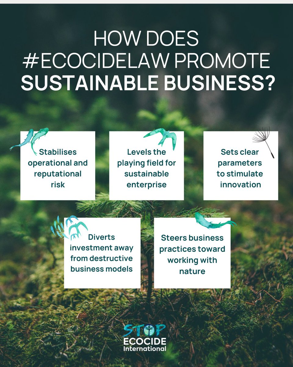 Youth For Ecocide Law (@ecocidelawyouth) on Twitter photo “Sustainability leaders will thrive under ecocide law, turning moral responsibility into competitive advantage”
- <a href="/PaulPolman/">Paul Polman</a>, former CEO of Unilever.
More & more business leaders are recognising the value of criminalising #ecocide: stopecocide.earth/business
#stopecocide “Sustainability leaders will thrive under ecocide law, turning moral responsibility into competitive advantage”
- <a href="/PaulPolman/">Paul Polman</a>, former CEO of Unilever.
More & more business leaders are recognising the value of criminalising #ecocide: stopecocide.earth/business
#stopecocide