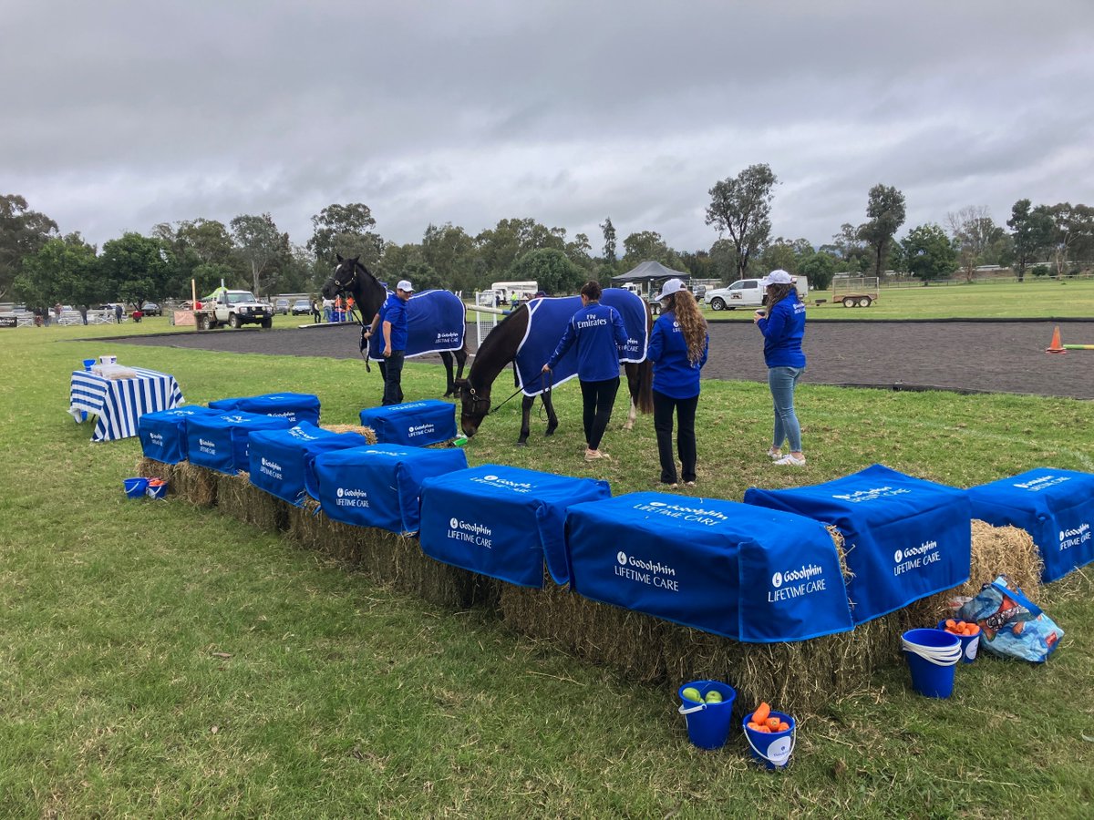 godolphin's tweet photo. 🇦🇺 #GodolphinLifetimeCare flagbearers #Trekking and #Avilius were in Scone yesterday, promoting life after racing with hundreds of kids and teachers - a perfect lead-in to National Thoroughbred Week this November. https://t.co/HkLNwqaMsL