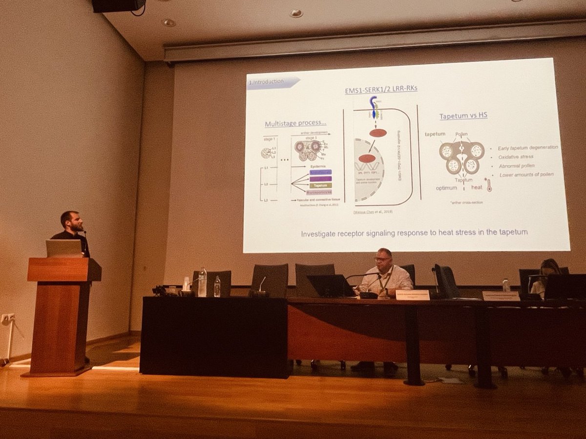 Recrop22157's tweet image. Rafail Gritzas (University of Toulouse 🇫🇷): 🌡️ SERK1 co-receptor’s role in temperature response. #SignalTransduction #RECROP2025 #FoodSecurity #ClimateChange #RECROPCOST #CropResilience