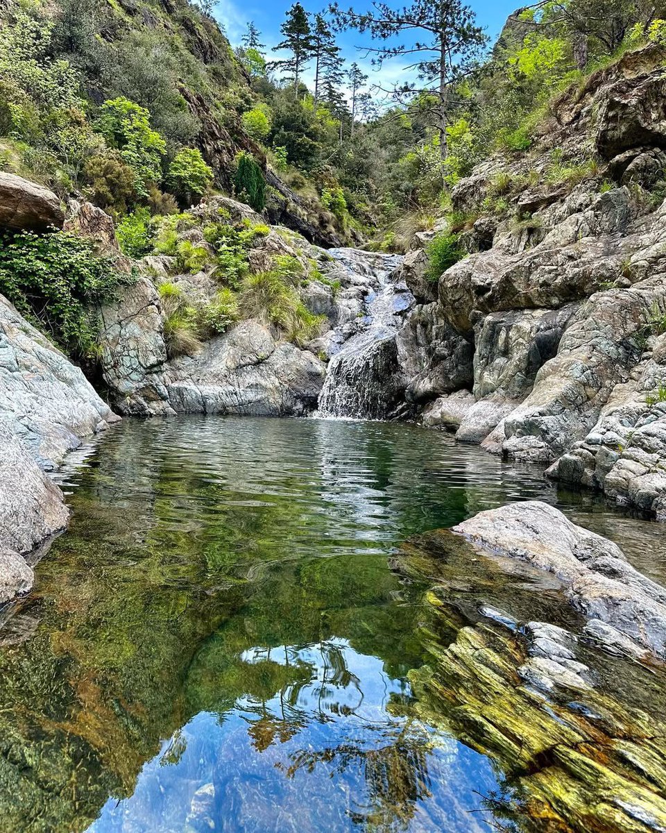 🏞️ Sapevate che il Parco Beigua è riconosciuto come sito UNESCO entrando nella prestigiosa lista dei Geoparchi Globali?

📍Un polmone verde della Liguria che comprende tra le province di Genova e Savona premiato recentemente con la prestigiosa #BandieraVerde

📸 @sharon_photo_