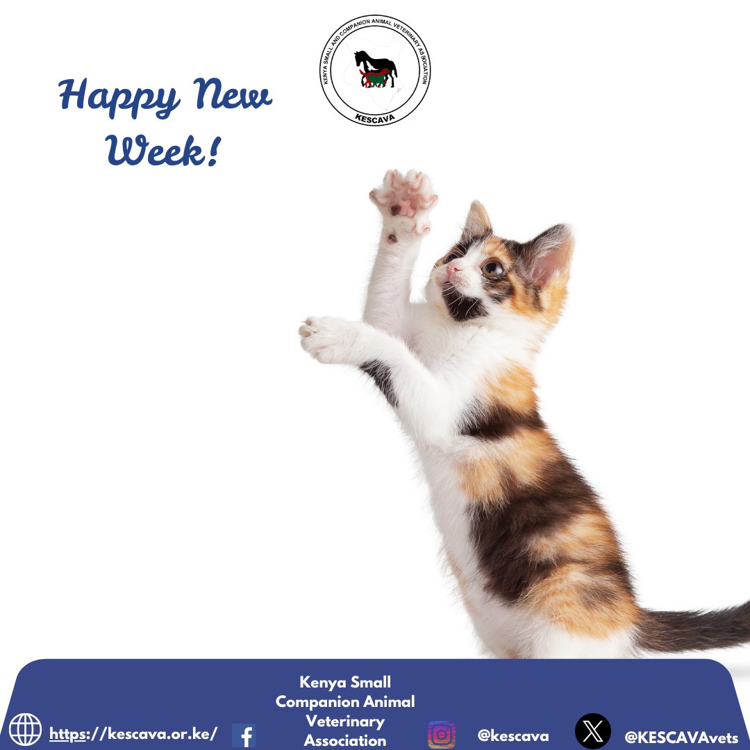 Happy New Week!

Your pet’s enthusiasm is contagious. Let's match their excitement and make the week extra special.

#HappyNewWeek of animal care and protection.