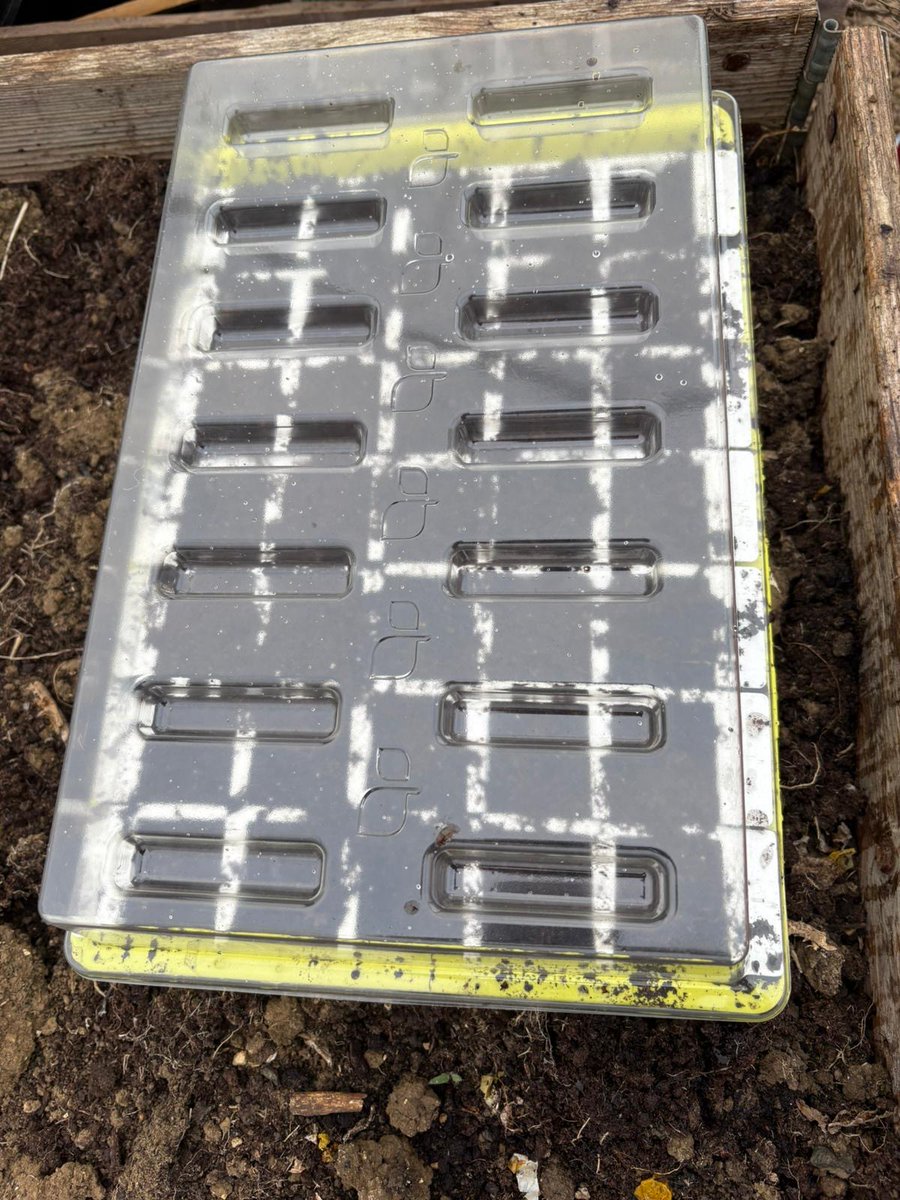 allotmentonline (@allotmentonline) on Twitter photo So, we are trying and testing the <a href="/bustaseed1/">Bustaseed Ltd</a> Propagation Trays...
Do you find traditional trays fiddly to transfer seedlings?...
allotmentonline.co.uk/bustaseed-the-…
#seedtrays #propagation #growyourown So, we are trying and testing the <a href="/bustaseed1/">Bustaseed Ltd</a> Propagation Trays...
Do you find traditional trays fiddly to transfer seedlings?...
allotmentonline.co.uk/bustaseed-the-…
#seedtrays #propagation #growyourown