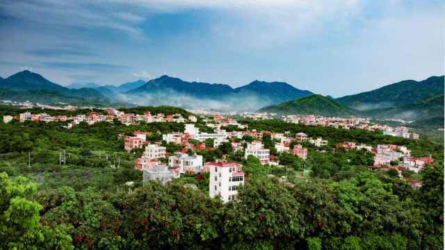 iGuangdong's tweet image. #Summer in #Guangdong kicks off with the arrival of #lychees, with nearly 1/5 of the world&apos;s lychees originating from the province.☀️🍃

Guangdong expects a bumper lychee crop this year, with its eastern and western regions set to produce close to 1 million tons. In #Guangzhou&apos;s…