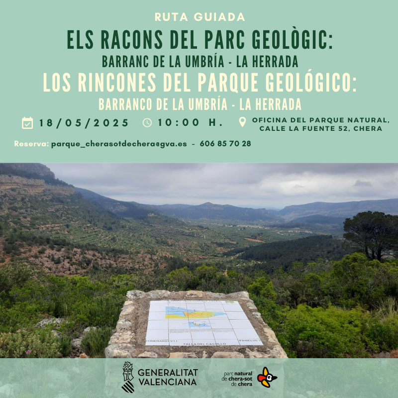 🌿El próximo domingo 18 d mayo retomaremos nuestras rutas geológicas guiadas a través del Parque Geológico de Chera, con una ruta muy especial. Os proponemos un entretenido itinerario a través del Barranco de la Umbría y el paraje de La Herrada.
#gvamediambient
#gvaparcsnaturals