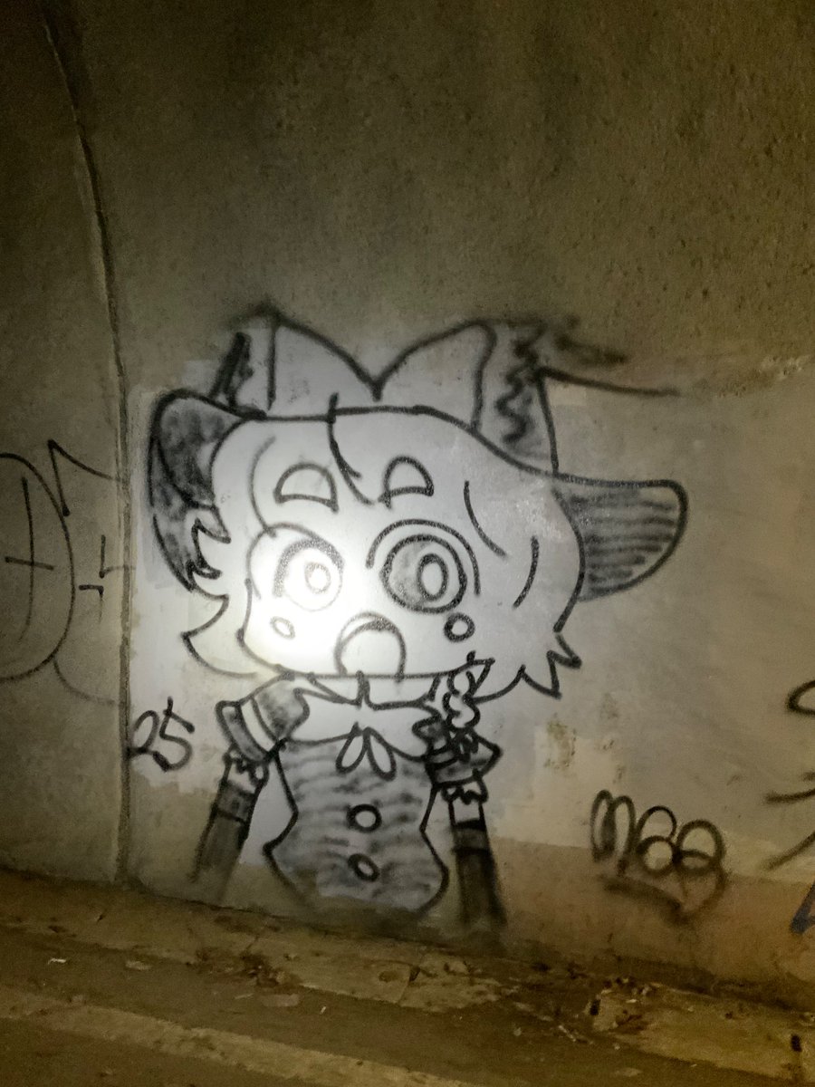 旧小峰トンネル向かったのだがNYN姉貴が消されててその上にMGR姉貴が描かれていたゾ〜(クッキー☆民へ)