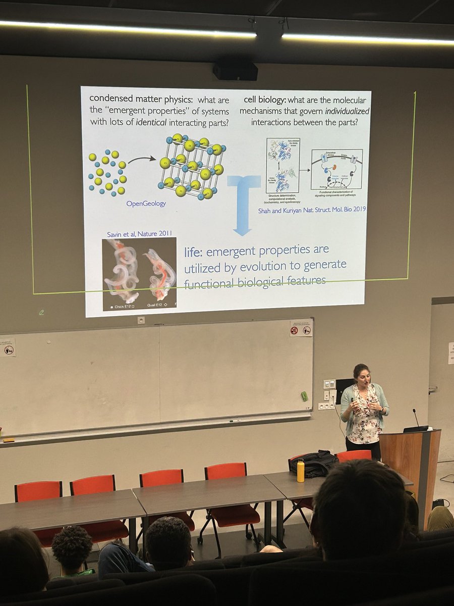 CENTURI - Turing Centre for Living Systems (@centuri_ls) on Twitter photo We are very glad to welcome <a href="/ManningResearch/">M. Lisa Manning</a> for today’s CENTURI Seminar! Today’s talk is entitled “Self-generated dynamical forces shape cells and organs in the zebrafish embryo”. We are very glad to welcome <a href="/ManningResearch/">M. Lisa Manning</a> for today’s CENTURI Seminar! Today’s talk is entitled “Self-generated dynamical forces shape cells and organs in the zebrafish embryo”.