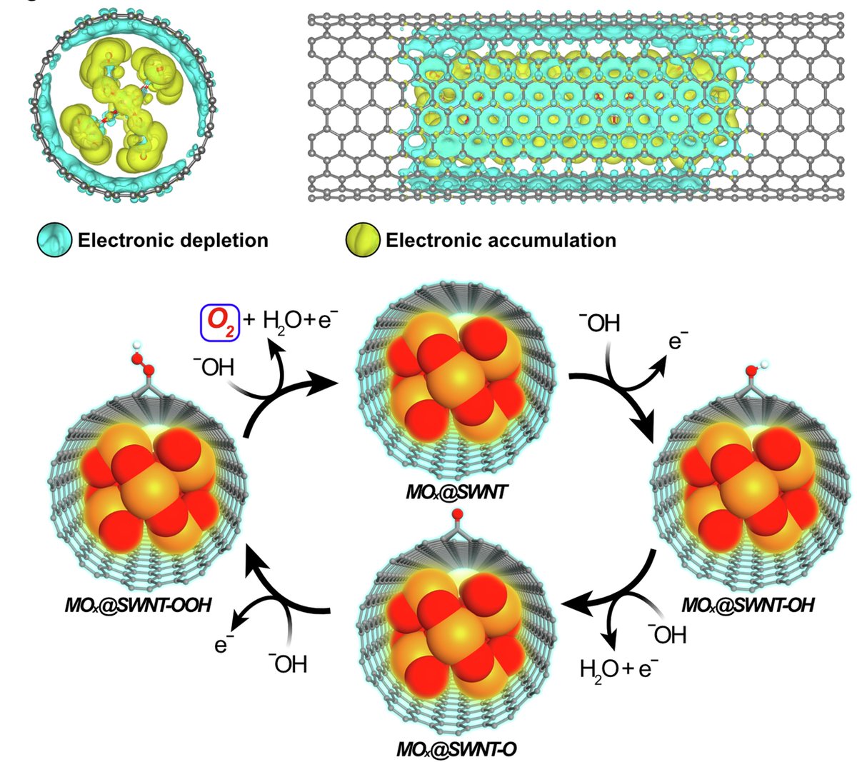 Nottingham Nanomaterials Group (@a_khlobystov) on Twitter photo Water oxidation through the wall of a carbon nanotube! The latest innovation in nano-electrocatalysis. Important breakthrough! nature.com/articles/s4146…
Congratulations @DrGrahamNewton
<a href="/DrLeeJohnson/">Lee R. Johnson</a>
<a href="/darren_walsh/">Darren Walsh</a> <a href="/nami_group/">NAMI Group</a> Water oxidation through the wall of a carbon nanotube! The latest innovation in nano-electrocatalysis. Important breakthrough! nature.com/articles/s4146…
Congratulations @DrGrahamNewton
<a href="/DrLeeJohnson/">Lee R. Johnson</a>
<a href="/darren_walsh/">Darren Walsh</a> <a href="/nami_group/">NAMI Group</a>