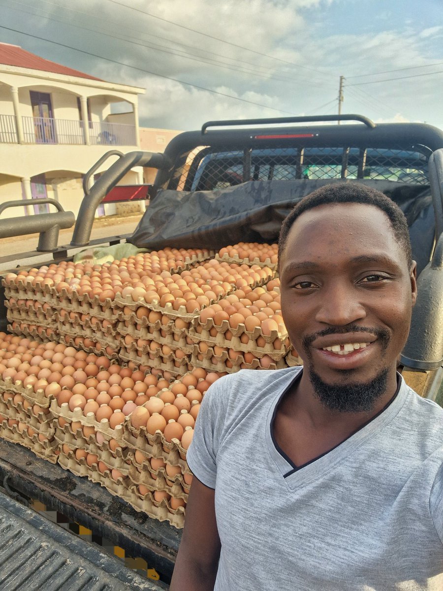 The Ghanaian Farmer (@enyonammanye) on Twitter photo 4 YEARS APART
▪︎ 2019: Using a Bicycle to transport my very first batch of chickens to the farm
▪︎ 2023: Using my Toyota Hilux to deliver eggs to a client
Don’t Be Discouraged 🫤
<a href="/MasabaDaniel/">Dr. Daniel Masaba</a> 🙌 4 YEARS APART
▪︎ 2019: Using a Bicycle to transport my very first batch of chickens to the farm
▪︎ 2023: Using my Toyota Hilux to deliver eggs to a client
Don’t Be Discouraged 🫤
<a href="/MasabaDaniel/">Dr. Daniel Masaba</a> 🙌