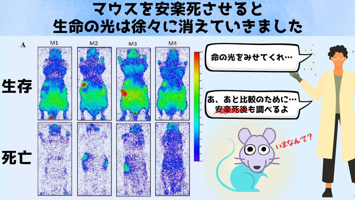 Tweet image