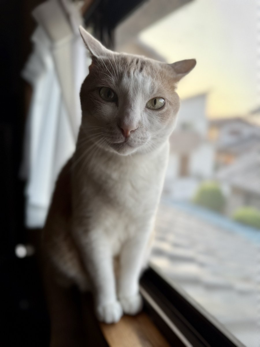 先日はソングにハッピーバースデーのコメントやいいねをありがとうございます😊
ステキな3歳を過ごせますように😘