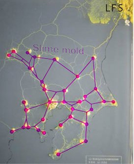 خالد | Δ tweet media