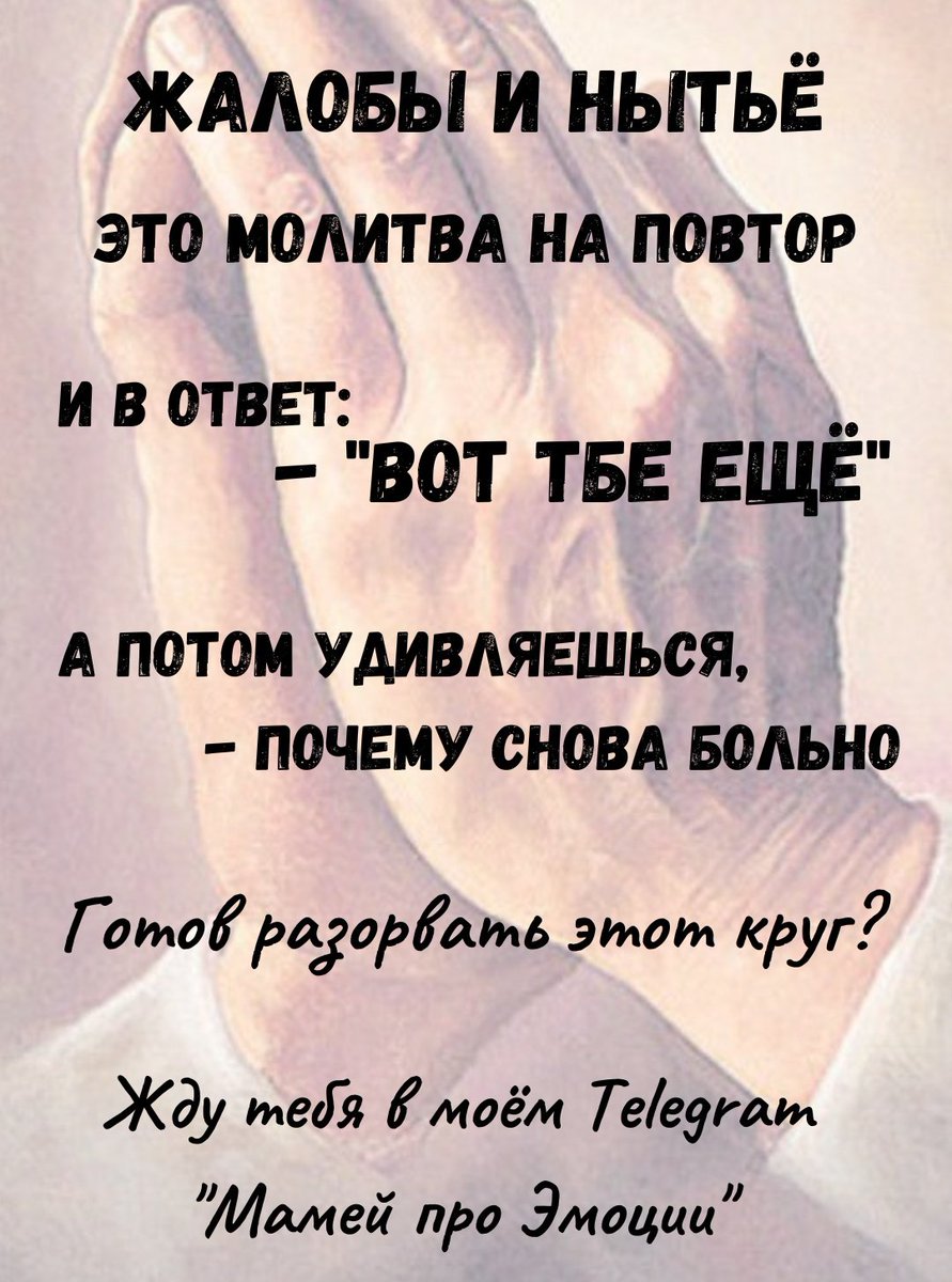 SerGo tweet media
