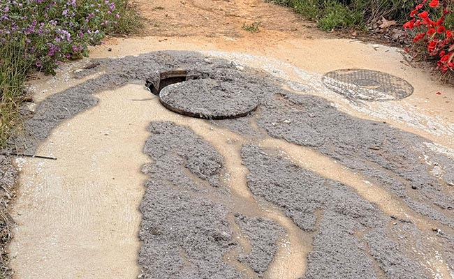 El PP denuncia problemas de saneamiento en la ciudad eldiadezamora.es/art/64700/el-p…