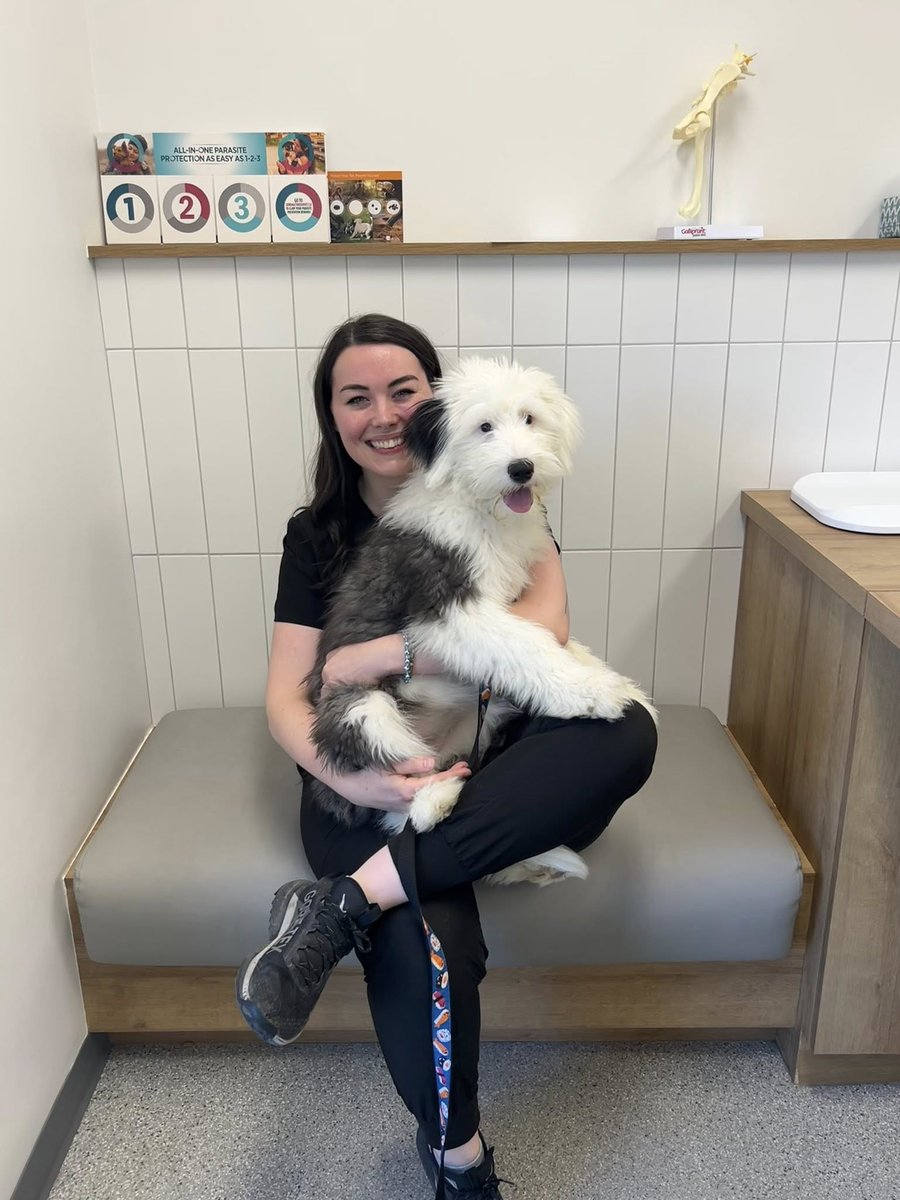 Little Juniper isn't so little anymore! 16 weeks and she's almost the size of bailey beans <3