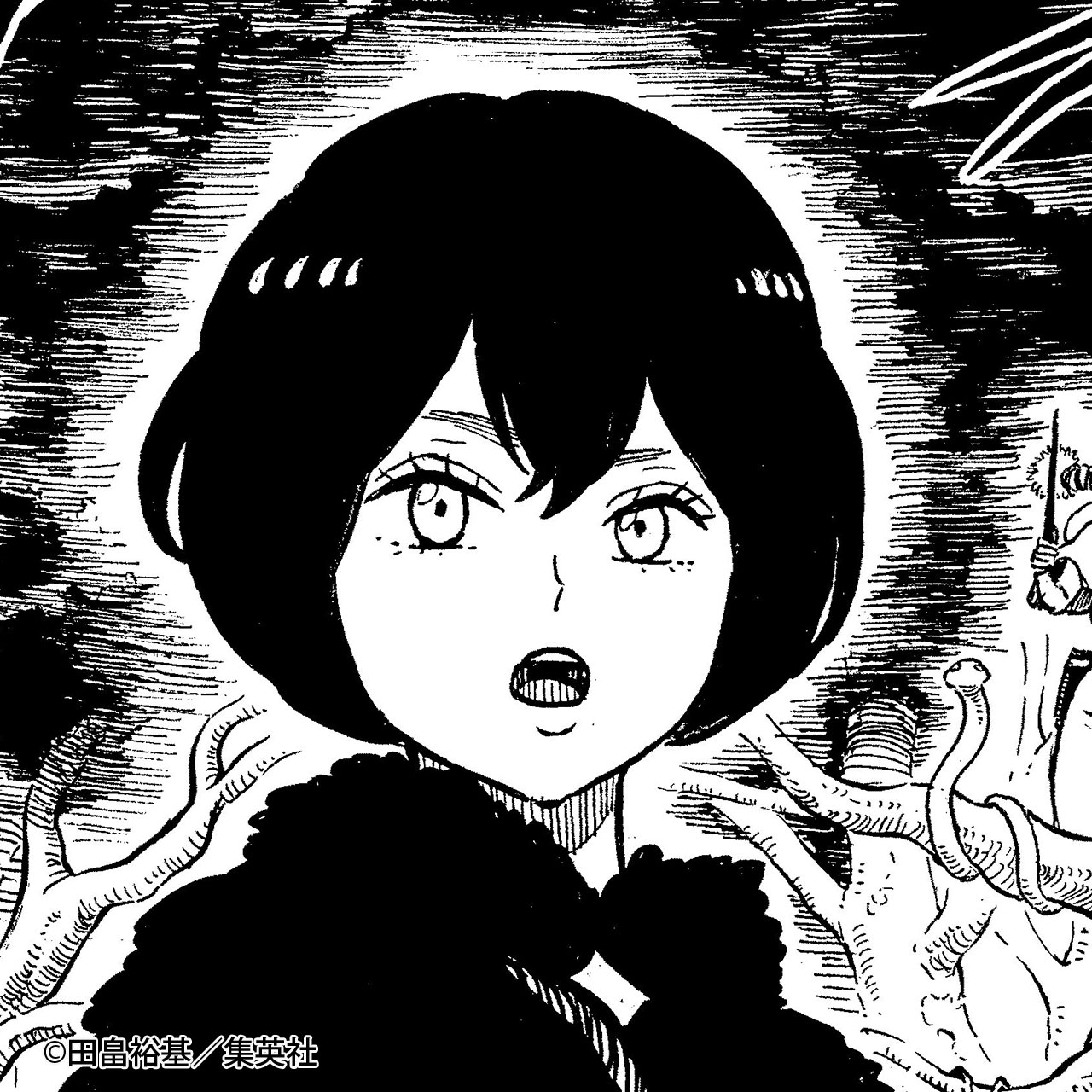 ブラッククローバー【公式】 (@blackclover_off) / X