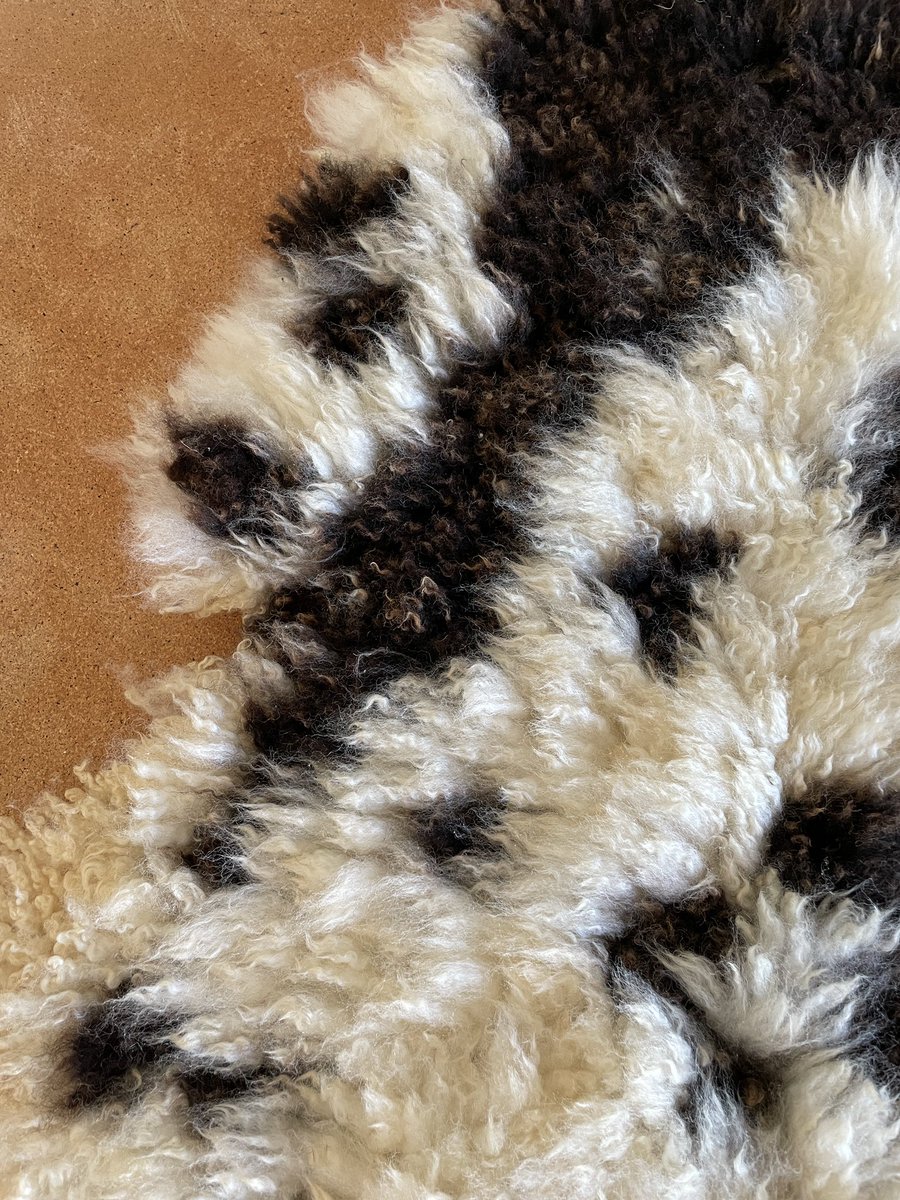Singing along to Crowded House ….
Four Fleeces In One Day 🐏🐏🐏🐏