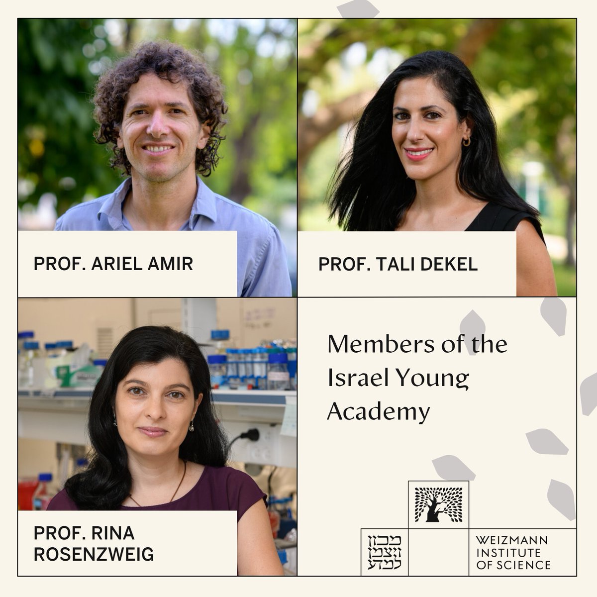 Weizmann Institute (@weizmannscience) on Twitter photo Congratulations to Profs. Ariel Amir, Tali Dekel & Rina Rosenzweig upon being elected as members of the Israel Young Academy <a href="/lab_rosenzweig/">Rosenzweig Lab</a> <a href="/talidekel/">Tali Dekel</a> <a href="/Ariel_4321/">Ariel Amir</a> Congratulations to Profs. Ariel Amir, Tali Dekel & Rina Rosenzweig upon being elected as members of the Israel Young Academy <a href="/lab_rosenzweig/">Rosenzweig Lab</a> <a href="/talidekel/">Tali Dekel</a> <a href="/Ariel_4321/">Ariel Amir</a>