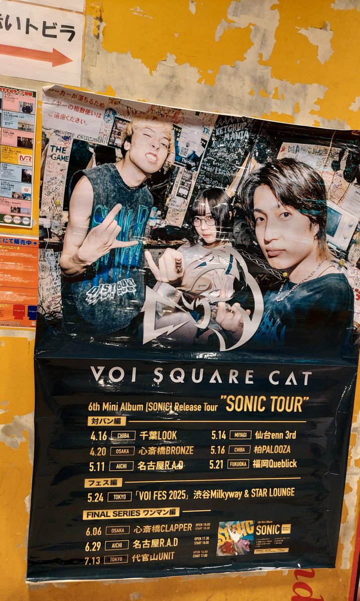 sassa1203's tweet image. 今日はここ🐱
 #VOISQUARECAT
 #ヨイズ🔰
 #MOCKEN🔰
@仙台enn3rd